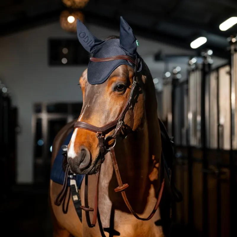 HORSEWARE Bonnet anti-mouche cheval Amigo Ear Net -< Bonnet Anti-Mouche Cheval