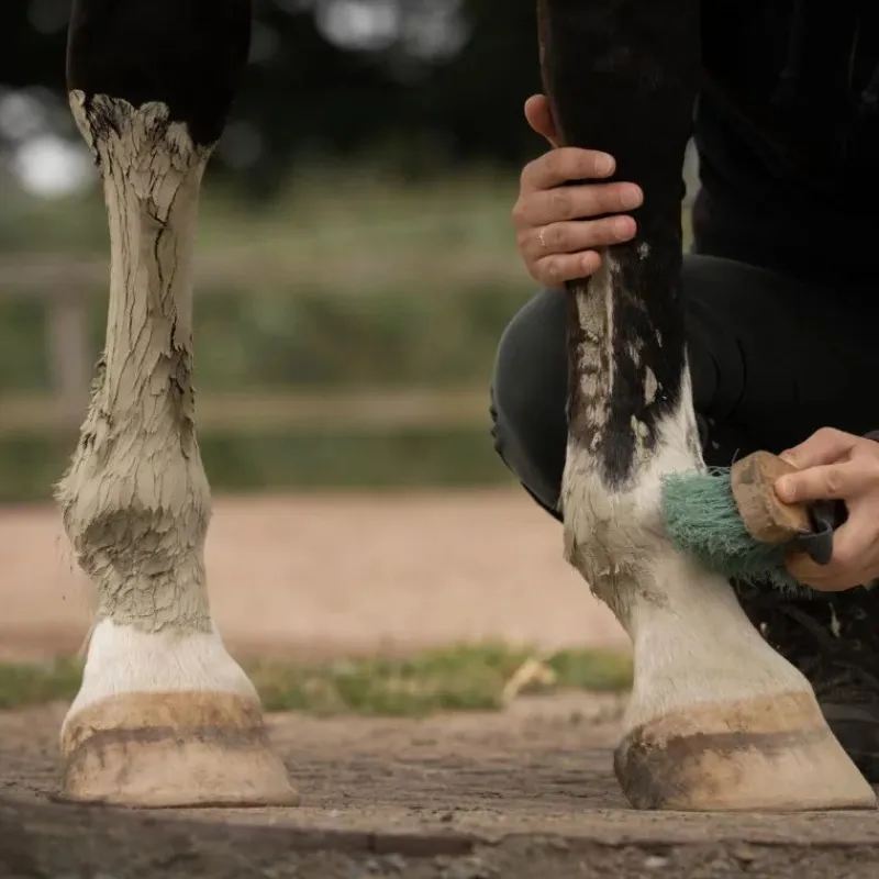 NELLUMBO Cataplasme d'argile cheval - Douleurs musculaires et articulaires -< Argile Cheval