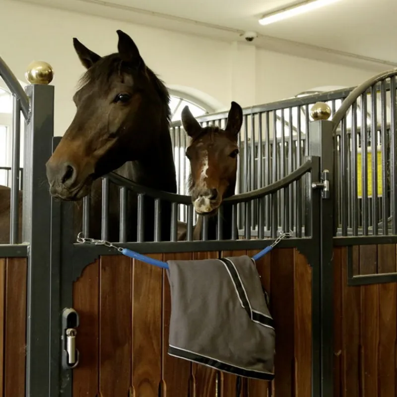 STABLE PRO Chaine de box/porte couverture cheval gainé plastique< Equipement Concours|Matériel D'Écurie