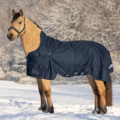 WALDHAUSEN Couverture d'extérieur cheval Scandic encolure haute 200 g -< Couvertures D'Extérieur Cheval