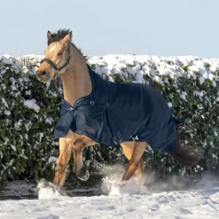WALDHAUSEN Couverture d'extérieur cheval Scandic encolure haute 200 g -< Couvertures D'Extérieur Cheval