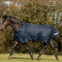 WALDHAUSEN Couverture d'extérieur cheval Arctic 100 g -< Couvertures D'Extérieur Cheval