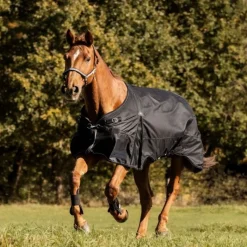 WALDHAUSEN Couverture d'extérieur cheval Scandic 100 g -< Couvertures D'Extérieur Cheval