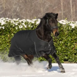 WALDHAUSEN Couverture d'extérieur cheval Nordic 50 g -< Couvertures D'Extérieur Cheval