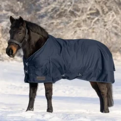 WALDHAUSEN Couverture d'extérieur cheval Nordic 0 g -< Couvertures D'Extérieur Cheval