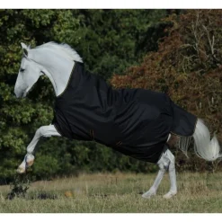 BUCAS Couverture extérieur cheval encolure haute 50g Irish Turnout Light -< Couvertures D'Extérieur Cheval