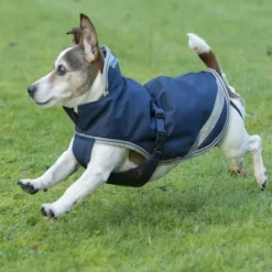 BUCAS Couverture imperméable chien Freedom 300g -< Manteau Pour Chien