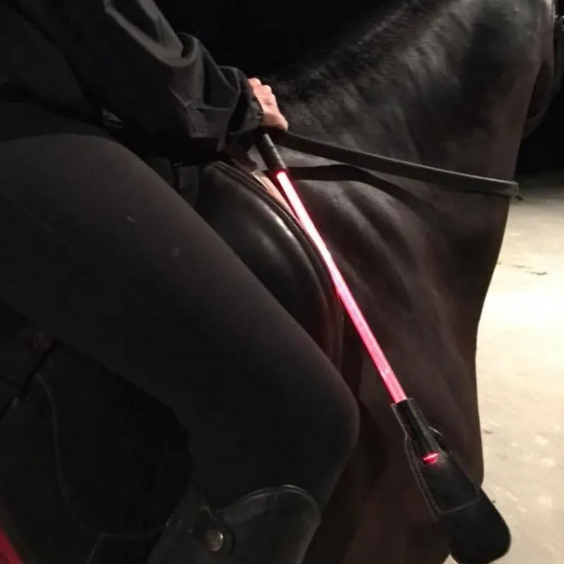 HARRY'S HORSE Cravache lumineuse led 3 couleurs - Equizor< Accessoires De Randonnée|Cravaches Et Sticks