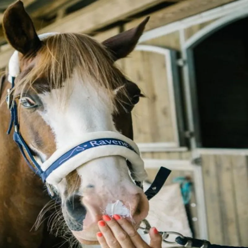 RAVENE Crème solaire cheval Sun Protec 150 ml -< Equipement Concours|Crème Solaire Cheval
