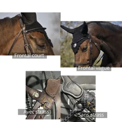 IHWT Frontal cheval Classique -< Accessoires De Bridon Cheval