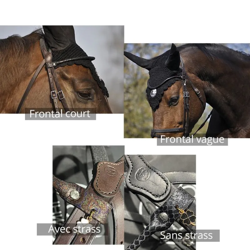 IHWT Frontal cheval Fantaisie -< Accessoires De Bridon Cheval