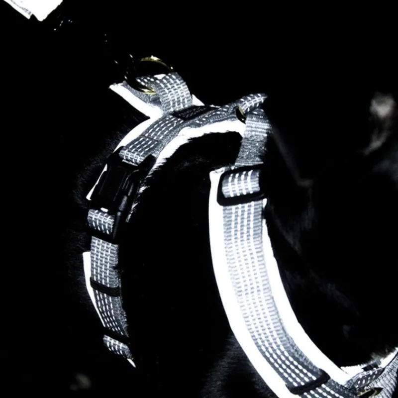 KENTUCKY DOGWEAR Harnais pour chien réfléchissant Active Reflective -< Colliers Et Laisses Pour Chien