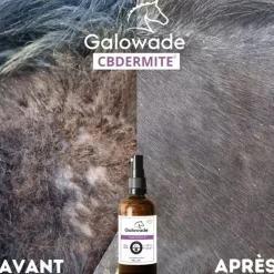 GALOWADE Huile dermite estivale cheval CBDermite Date courte -< Produits Soin Cheval Anti- Gaspi|Complément Dates Courtes