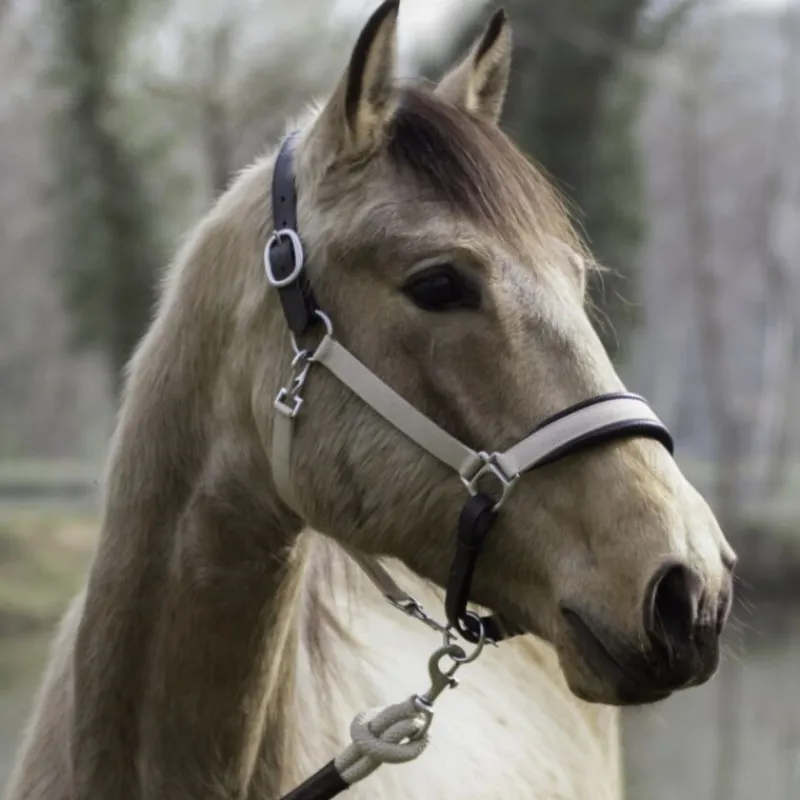 DYON Licol cheval 2 en 1 Transport et Grooming La Cense - Dy'on< Licols