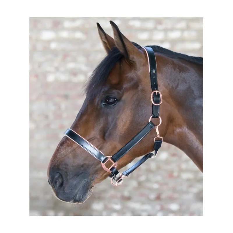 WALDHAUSEN Licol cheval cuir X-Line Rosé -< Licols