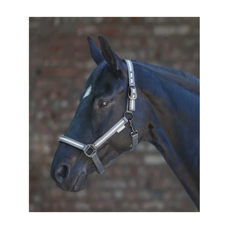 WALDHAUSEN Licol cheval réfléchissant -< Equipement Réfléchissant Cavalier|Licols