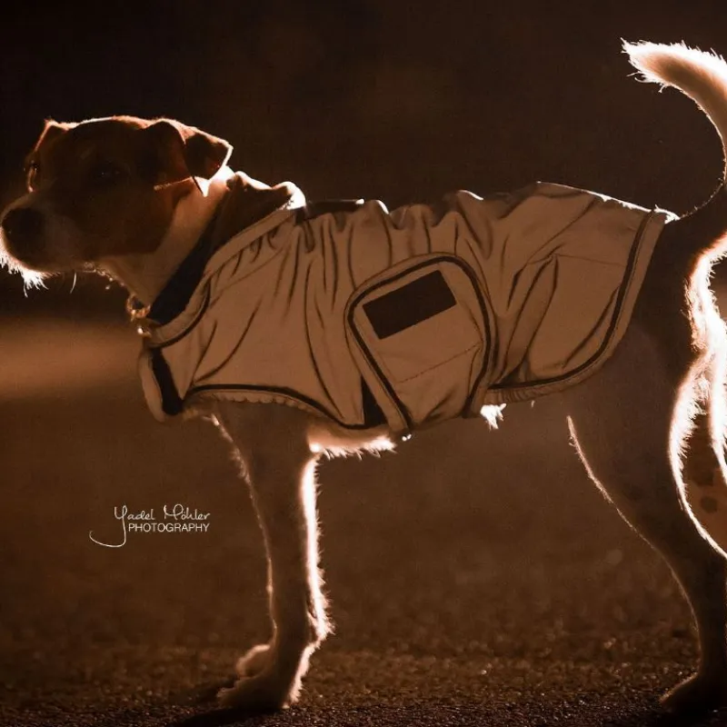 KENTUCKY DOGWEAR Manteau pour chien imperméable et réfléchissant -< Manteau Pour Chien|Equipement Réfléchissant Cavalier