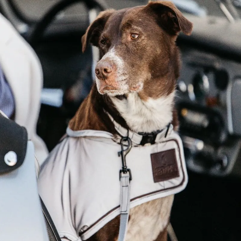 KENTUCKY DOGWEAR Manteau pour chien imperméable et réfléchissant -< Manteau Pour Chien|Equipement Réfléchissant Cavalier