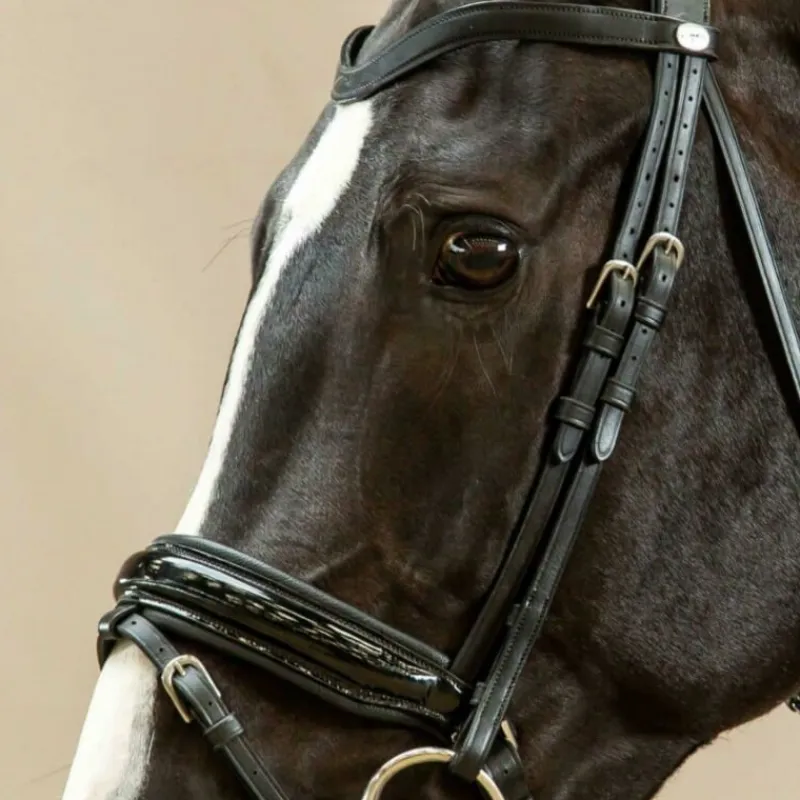 DYON Montants de bridon dressage cheval Working Collection - Dy'on< Accessoires De Bridon Cheval