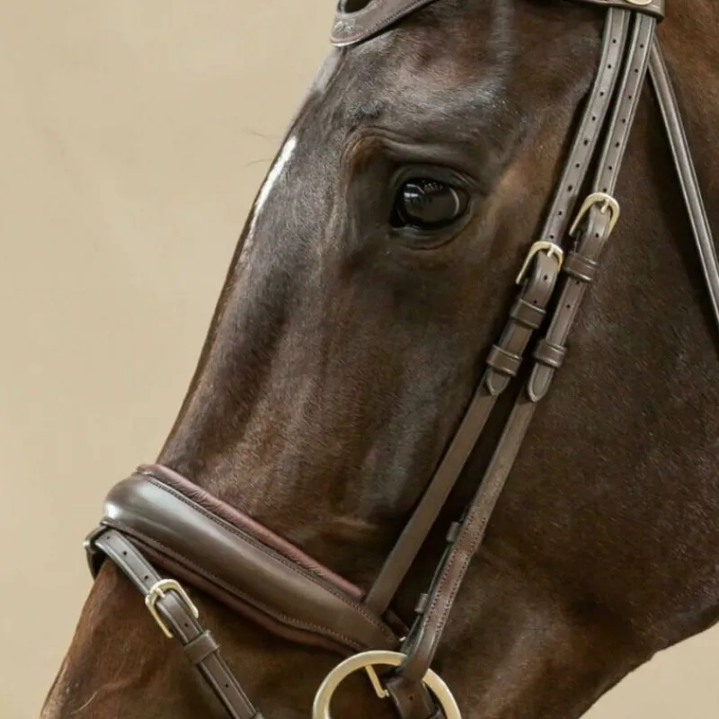 DYON Montants de bridon dressage cheval Working Collection - Dy'on< Accessoires De Bridon Cheval