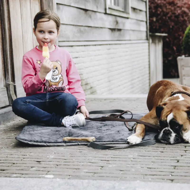 KENTUCKY DOGWEAR Panier de voyage pour chien Travel in style - Kentucky< Paniers Et Gamelles Chien