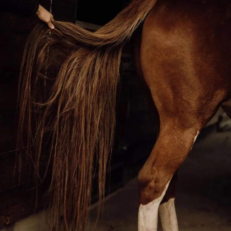 NELLUMBO Soin Démêlant crins cheval -< Lustrant Démêlant Pour Chevaux