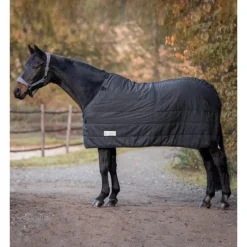 WALDHAUSEN Sous couverture cheval anti-glisse Thermo Clip'in system 100g -< Couvertures D'Extérieur Cheval