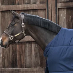 KENTUCKY HORSEWEAR Sous couverture cheval Classic 300g - Kentucky< Couvertures De Box|Couvertures D'Extérieur Cheval