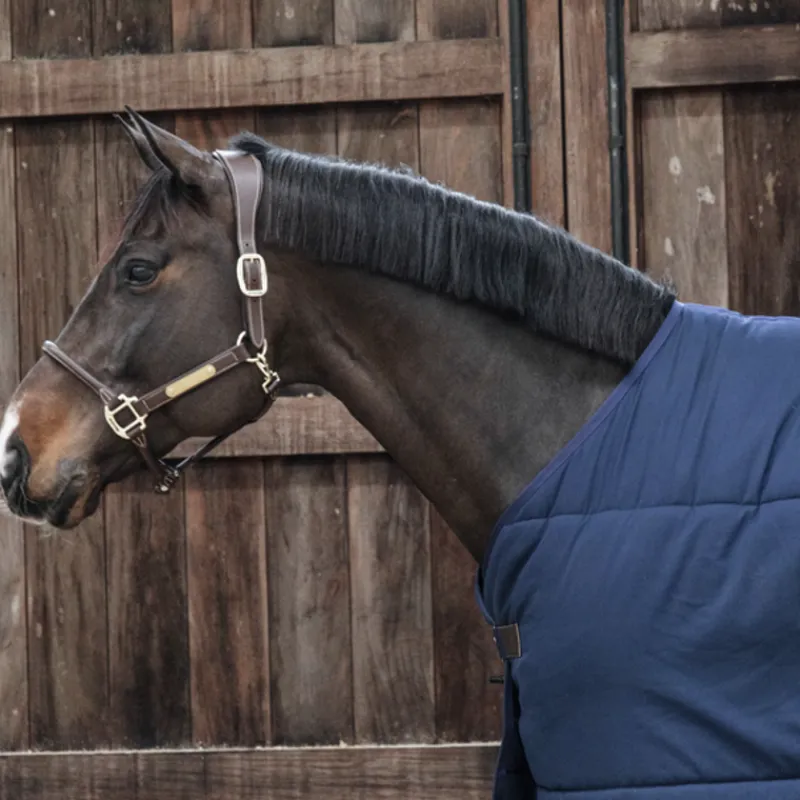 KENTUCKY HORSEWEAR Sous couverture cheval Classic 200g - Kentucky< Couvertures De Box|Couvertures D'Extérieur Cheval