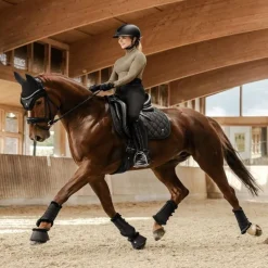 WALDHAUSEN Tapis de selle cheval Phoenix -< Tapis De Dressage|Tapis De Selle Classiques